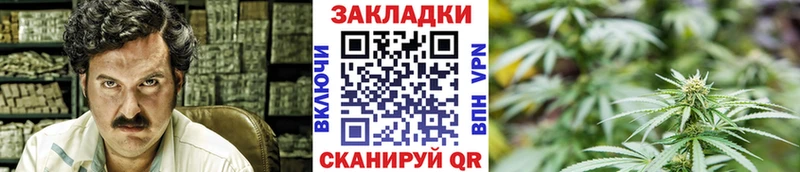 Где продают наркотики Чернушка Амфетамин  APVP  Галлюциногенные грибы  Кокаин  Конопля 
