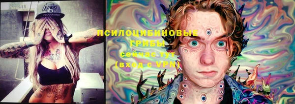 твердый Вязники