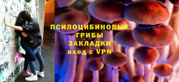 твердый Вязники