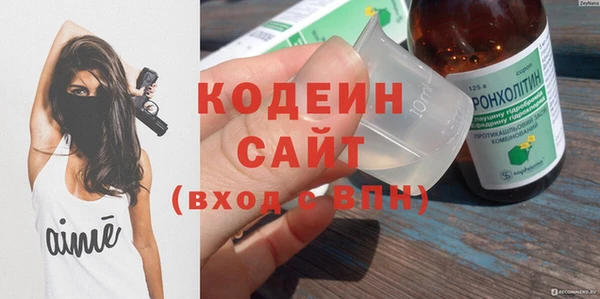 дурь Вяземский
